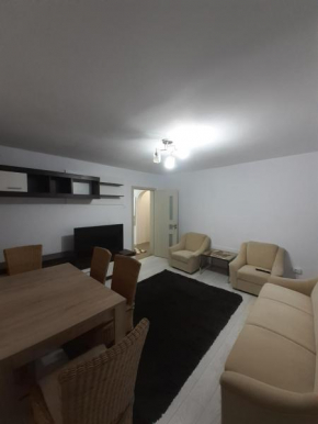 Apartament confortabil în Bucovina